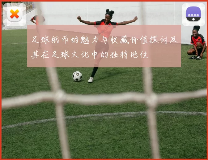 足球纸币的魅力与收藏价值探讨及其在足球文化中的独特地位