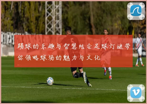 踢球的乐趣与智慧结合足球灯谜带你领略球场的魅力与文化