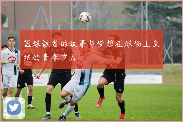 篮球散客的故事与梦想在球场上交织的青春岁月